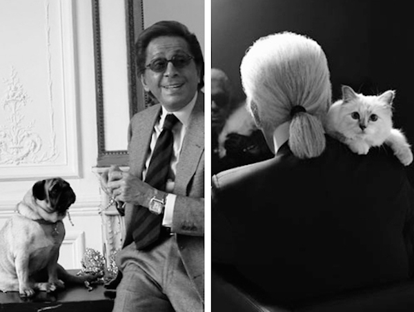 Who Has Ridiculous Lifestyle: Valentino's Pugs or Karl Lagerfeld's Cat, Choupette? - mDash