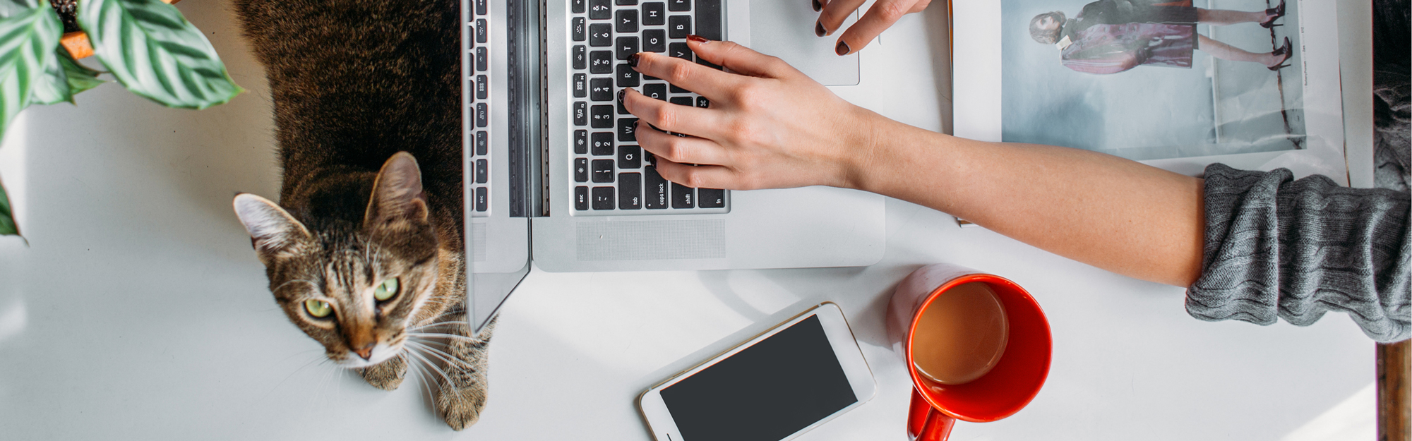 On Email, Powerlessness, and Maintaining Sanity in a Pathologically Plugged-In World