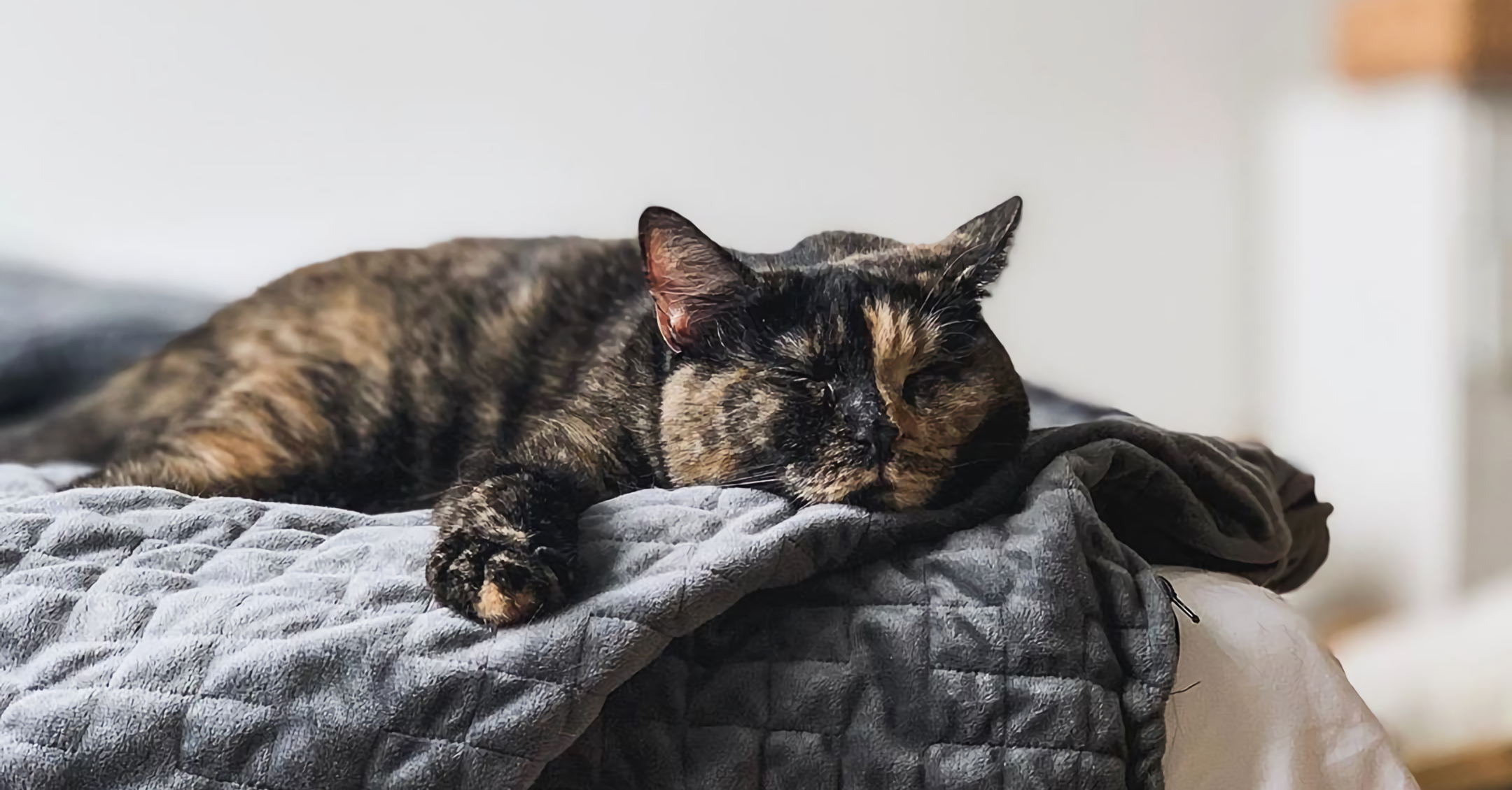 Ways to Stay Calm and Sane While You Hunker Down at Home